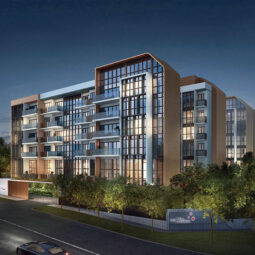 TMW-Maxwell-the-lilium TMW Maxwell - The Lilium